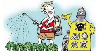 6月起哪些新规将影响你的生活？景泰人必看的法律要点解析